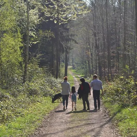 Weingut H. Gindorf 3*