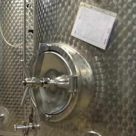Weingut H. Gindorf 住宿加早餐酒店 利塞尔
