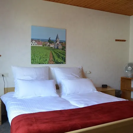 住宿加早餐酒店 Weingut H. Gindorf 3*