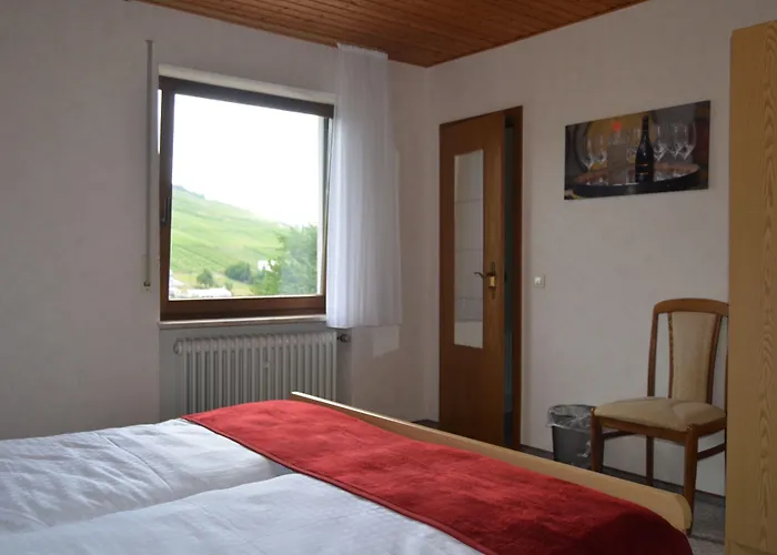 Weingut H. Gindorf ベッド・アンド・ブレックファスト リーザー