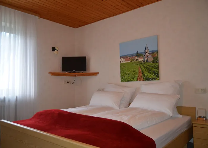 ベッド・アンド・ブレックファスト Weingut H. Gindorf リーザー