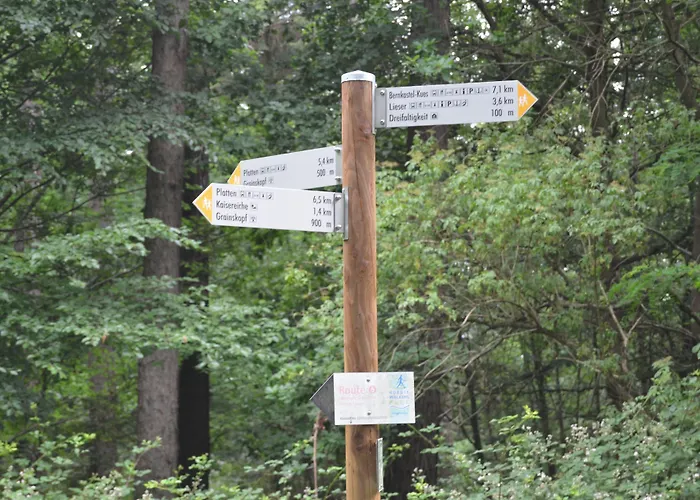 ベッド・アンド・ブレックファスト Weingut H. Gindorf リーザー