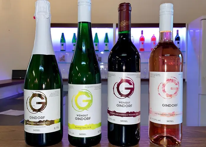 Weingut H. Gindorf ベッド・アンド・ブレックファスト リーザー