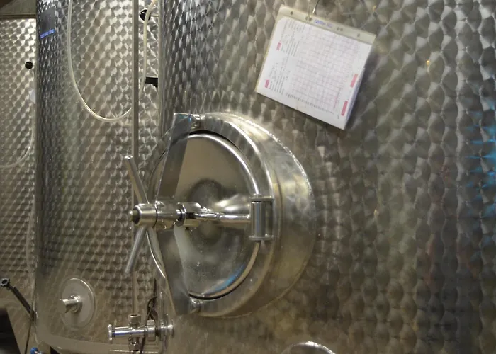 Weingut H. Gindorf ベッド・アンド・ブレックファスト リーザー